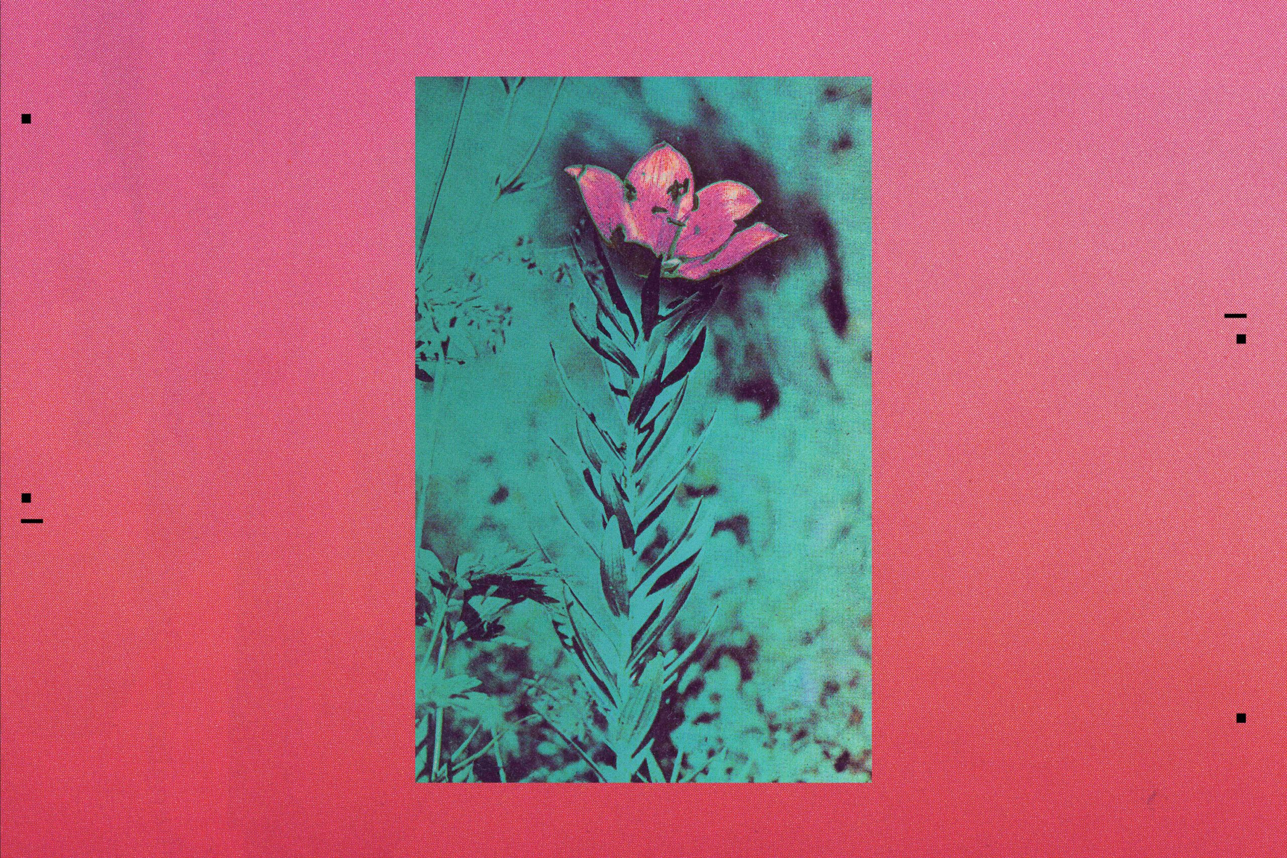 Uèle Lamore’s new single The First Tree ft. Gracy Hopkins out now