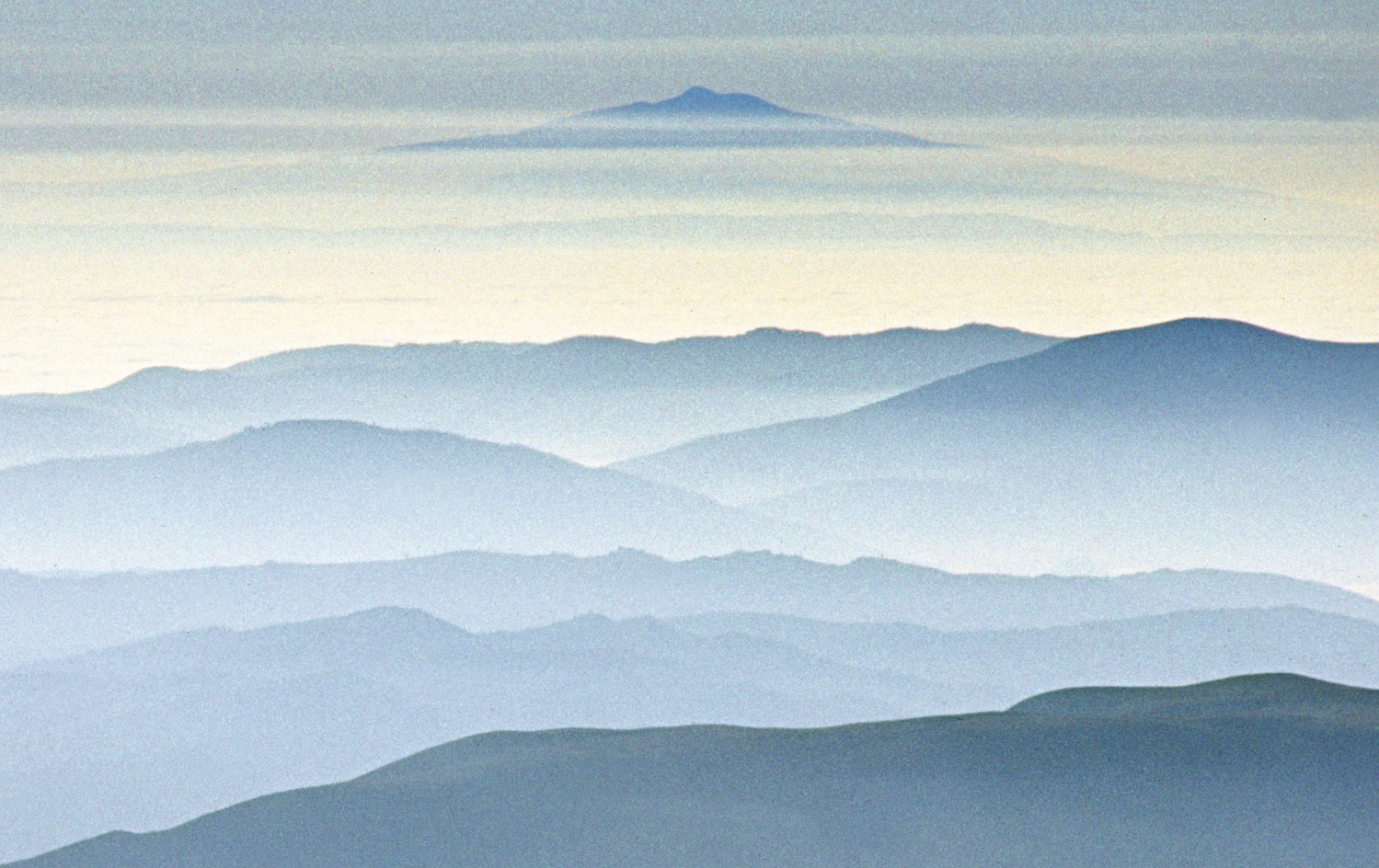 Olivia Belli’s new EP Winter Variations out now