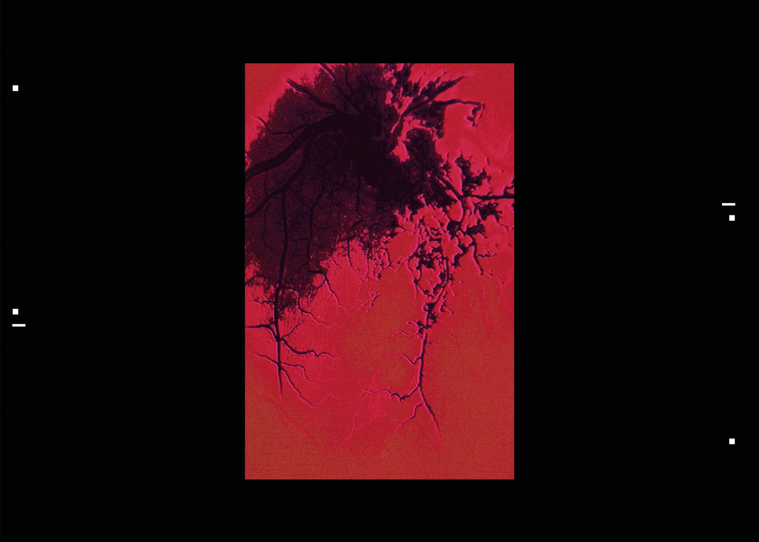Uèle Lamore’s new single Warm Blood ft. Silly Boy Blue out now