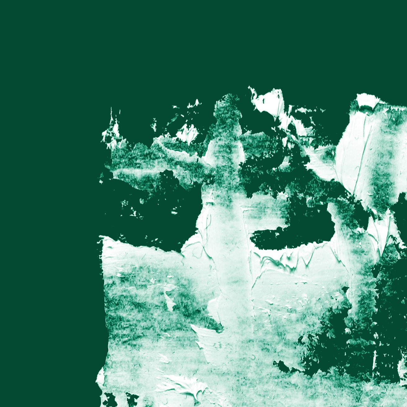 Hideyuki Hashimoto will curate XXIM:EXPO #3